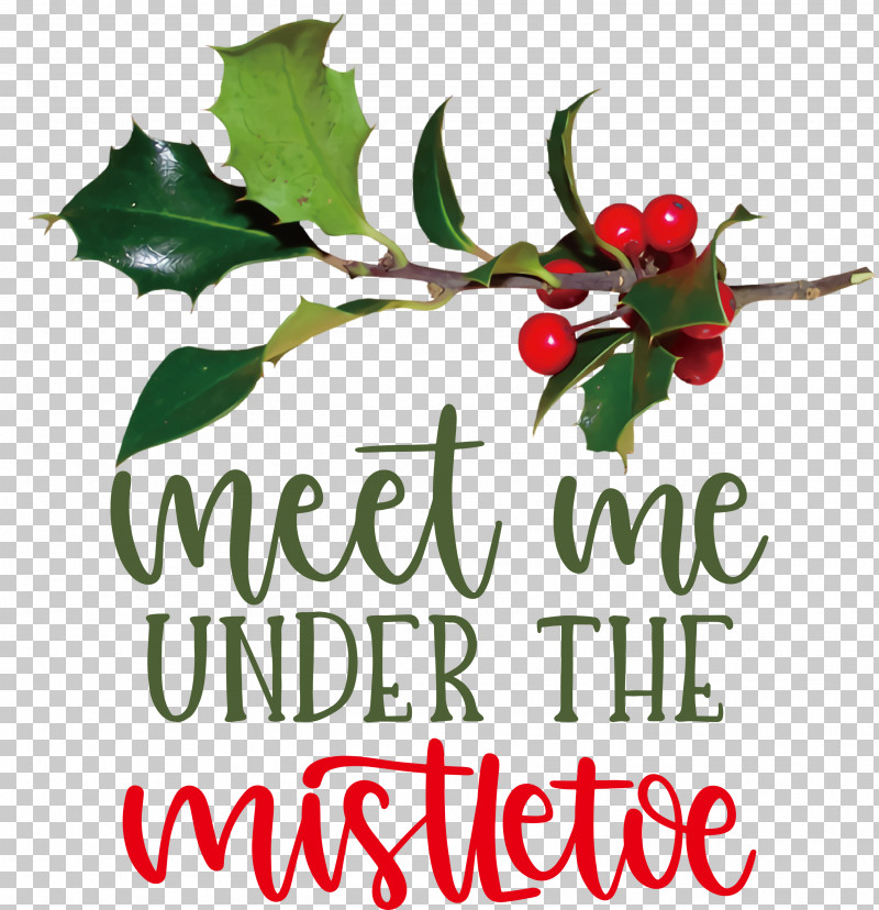 Meet Me Under The Mistletoe Mistletoe PNG, Clipart, Aquifoliales, Barry M, Biology, Branching, Holly Free PNG Download