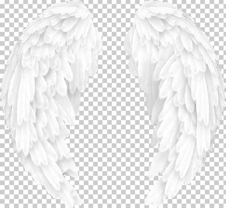 Black And White Editing Wing PNG, Clipart, Angel, Animal, Black And White, Black Angel, Creation Free PNG Download