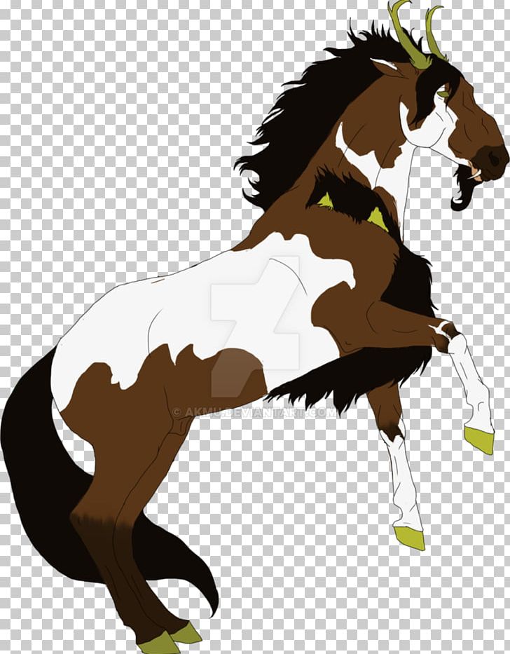 Mane Foal Stallion Mustang Colt PNG, Clipart, Colt, English Riding, Equestrian, Equestrianism, Equestrian Sport Free PNG Download