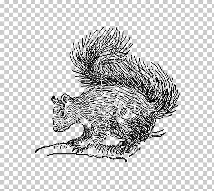 Squirrel Digital Stamp Whiskers Postage Stamps PNG, Clipart, Animals, Bird, Black And White, Carnivoran, Cat Like Mammal Free PNG Download