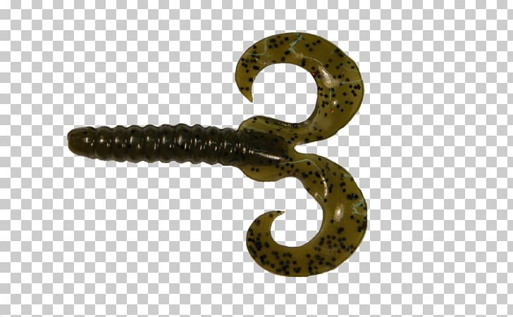 Fishing Baits & Lures Soft Plastic Bait Worm PNG, Clipart, Airsoft, Darter, Fish, Fishing, Fishing Baits Lures Free PNG Download