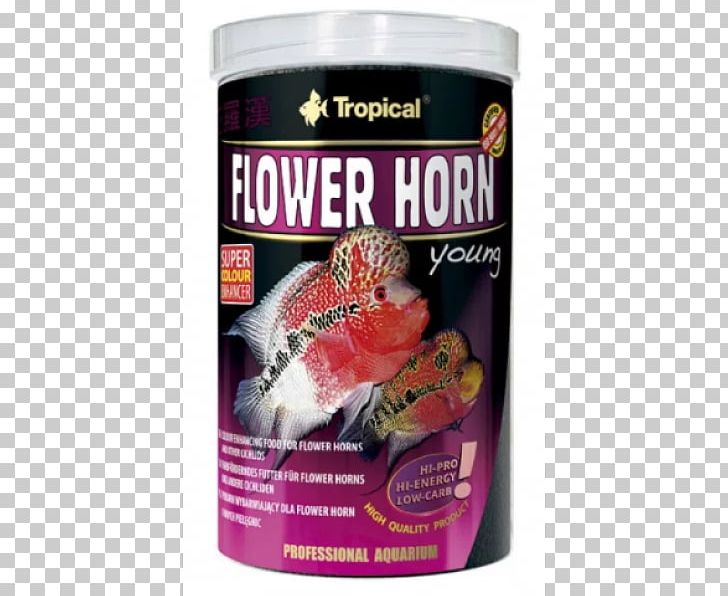 Flower Horn Cichlid Aquarium Fish Feed Pet Food PNG, Clipart, Animal, Animals, Aquarium, Aquarium Fish Feed, Cichlid Free PNG Download