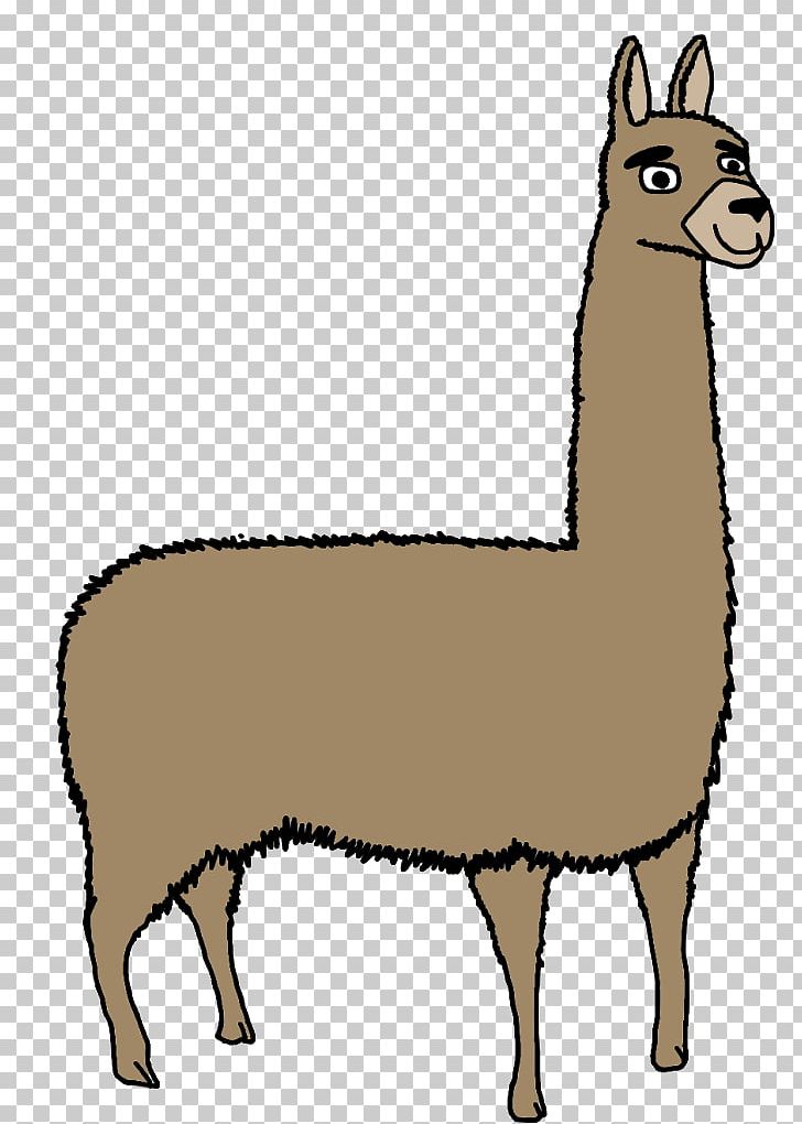 Llama Alpaca Vicuña Sheep PNG, Clipart, Alpaca, Animal, Animal Figure, Animals, Camel Like Mammal Free PNG Download