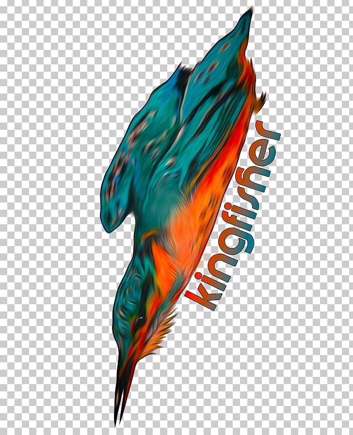 Marine Mammal Teal Feather Beak PNG, Clipart, Animals, Beak, Claw, Create, Feather Free PNG Download
