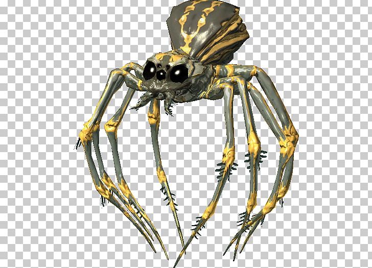 The Elder Scrolls V: Skyrim Spider Wiki PNG, Clipart, Arachnid, Araneus, Arthropod, Control, Dragonborn Free PNG Download