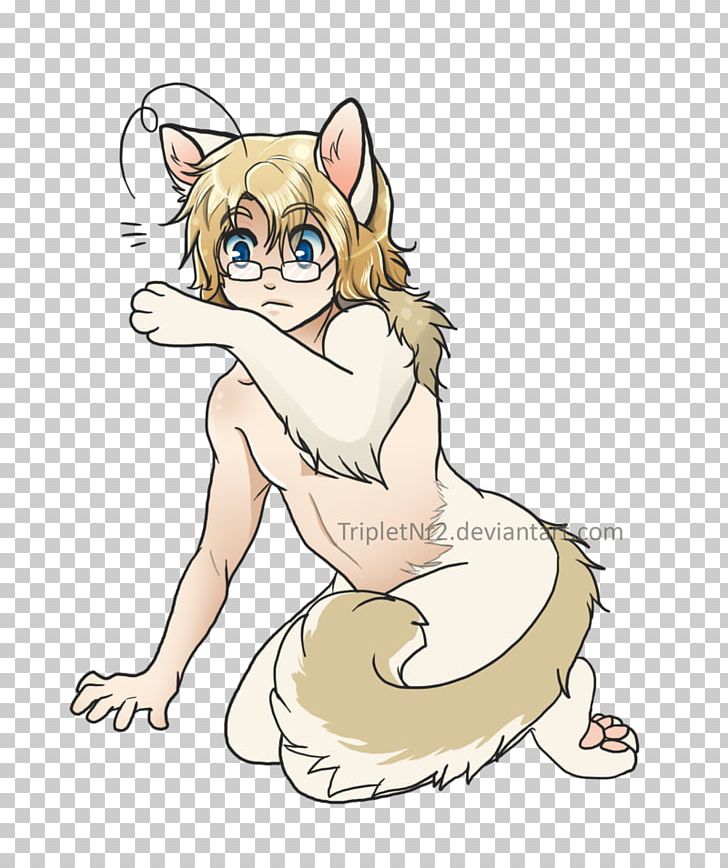 Whiskers Cat Human–animal Hybrid Drawing Red Fox PNG, Clipart, Animals,  Anime, Artwork, Big Cat, Big