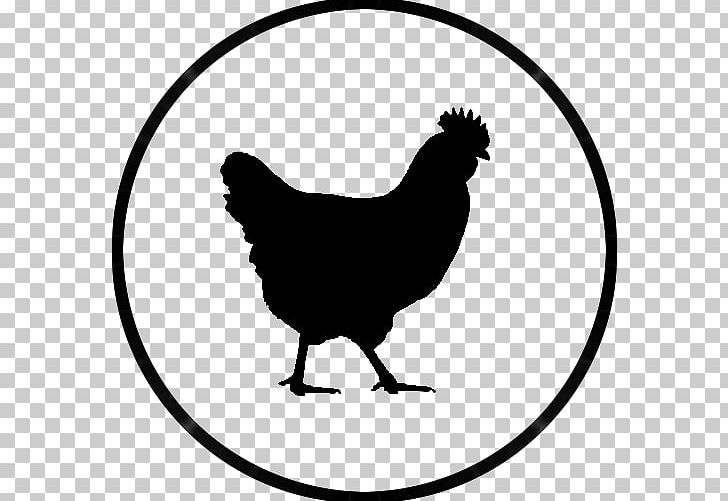 Rhode Island Red Plymouth Rock Chicken Rooster Hen Barbecue Chicken PNG, Clipart, Area, Artwork, Barbecue Chicken, Beak, Bird Free PNG Download