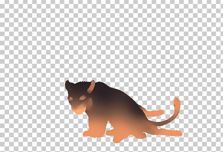 Whiskers Cat Felidae Lion Hyena PNG, Clipart, Animals, Canidae, Carnivoran, Cat, Cat Like Mammal Free PNG Download