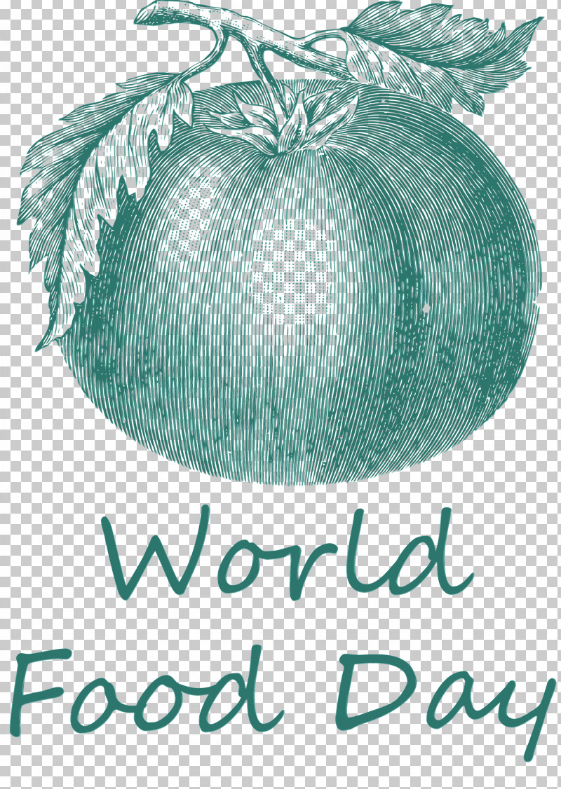 Tomato PNG, Clipart, Collage, Cooking, Cover Art, Drawing, Fruit Free PNG Download
