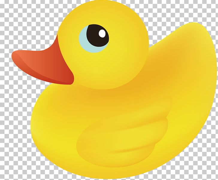 Duck PNG, Clipart, Animal, Animals, Bird, Encapsulated Postscript, Explosion Effect Material Free PNG Download