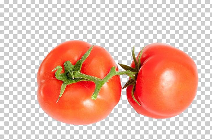 Plum Tomato Tomato Juice Cherry Tomato Bush Tomato Food PNG, Clipart, Canning, Diet Food, Freshness, Fresh Salmon, Fruit Free PNG Download