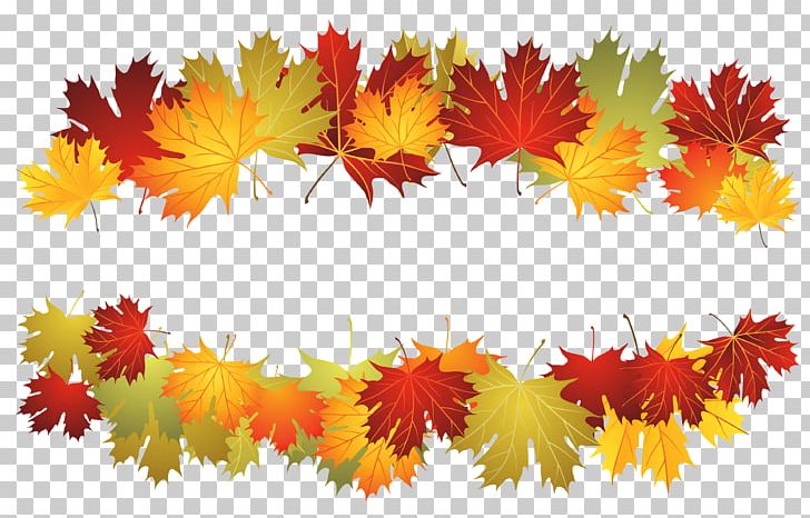 Toronto Maple Leafs Autumn PNG, Clipart, Autumn, Autumn Leaf Color, Banana Leaves, Color, Flowering Plant Free PNG Download
