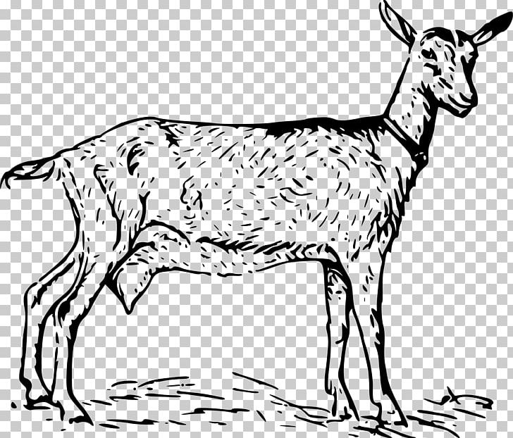 Black Bengal Goat PNG, Clipart, Black And White, Black Bengal Goat, Cattle Like Mammal, Computer Icons, Cow Goat Family Free PNG Download