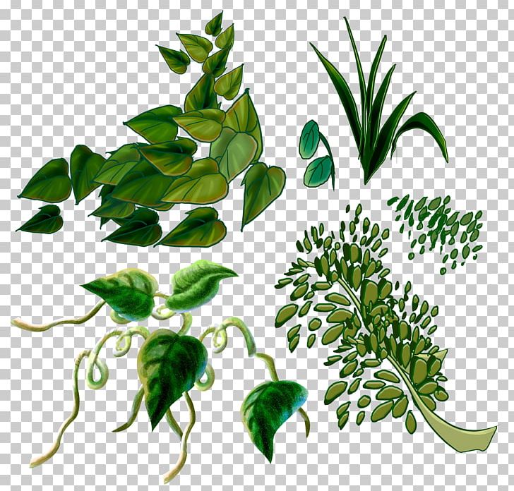 Branch Leaf Plant Stem PNG, Clipart, Branch, Flora, Flowerpot, Grass, Green Leaf Free PNG Download