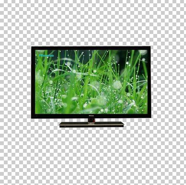 Nature Display Resolution Natural Environment Computer Monitor PNG, Clipart, Appliance, Botany, Brand, Computer, Desktop Environment Free PNG Download