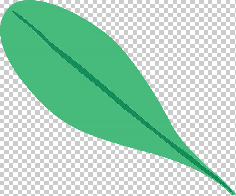 Leaf Plant Stem Green Font Line PNG, Clipart, Biology, Green, Leaf, Line, Paint Free PNG Download
