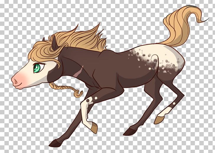 Mustang Foal Stallion Halter Pack Animal PNG, Clipart,  Free PNG Download