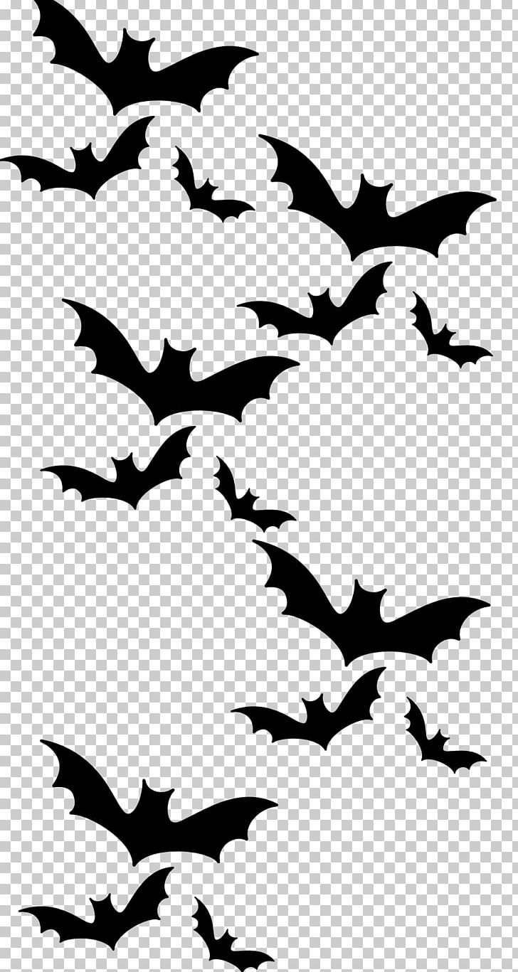 Bat Beak Flora Fauna PNG, Clipart, Animals, Artwork, Bat, Beak, Bird Free PNG Download