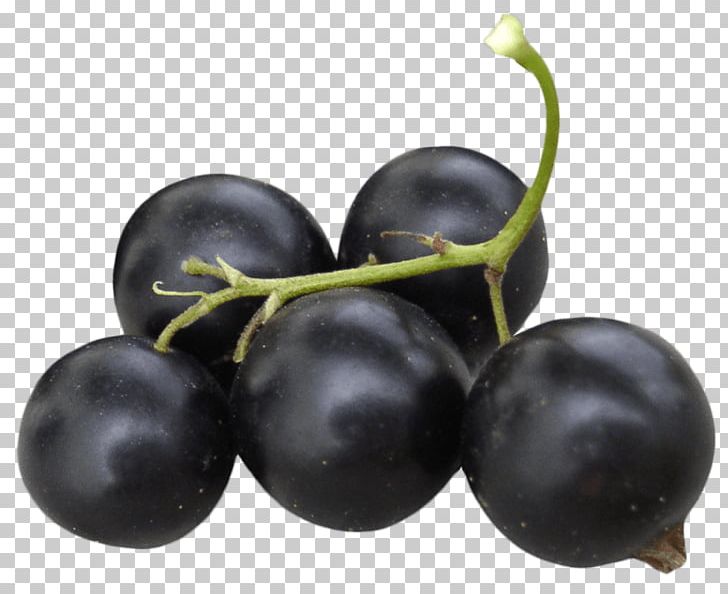Bilberry Zante Currant Blackcurrant Redcurrant Damson PNG, Clipart, Berry, Bilberry, Black Currant, Blackcurrant, Blueberry Free PNG Download