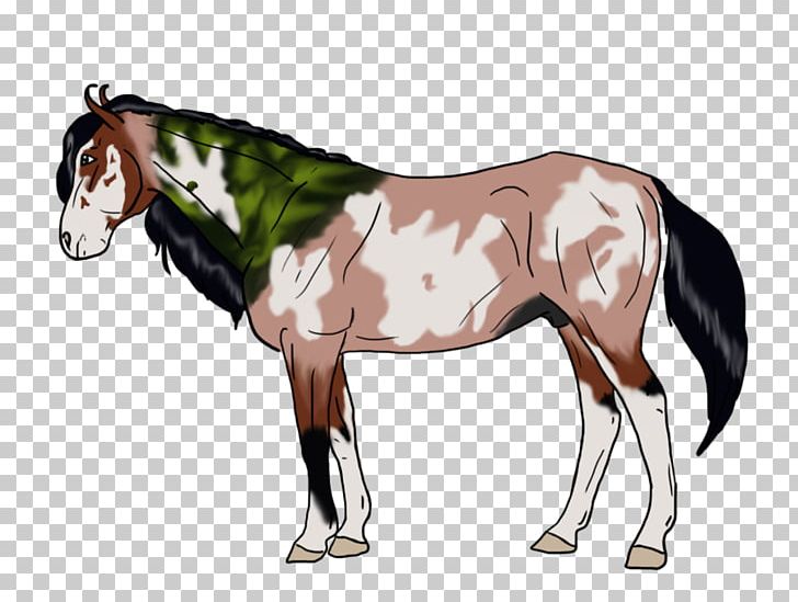 Foal Stallion Mustang Mare Colt PNG, Clipart, Animal Figure, Bit, Bridle, Colt, Foal Free PNG Download