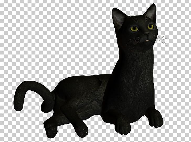 Korat Black Cat Whiskers Domestic Short-haired Cat PNG, Clipart, Animal, Animal Figure, Black, Carnivoran, Cat Like Mammal Free PNG Download