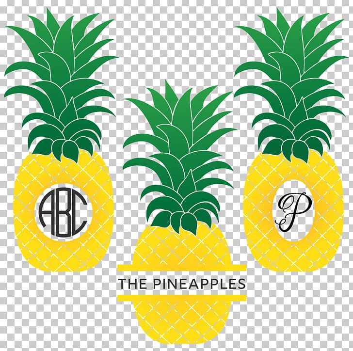 Pineapple Bromeliads Food Plant PNG, Clipart, Ananas, Bromeliaceae, Bromeliads, Flowering Plant, Flowerpot Free PNG Download
