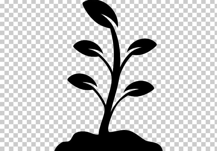 Plant Computer Icons PNG, Clipart, Artwork, Black And White, Branch, Computer Icons, Desktop Wallpaper Free PNG Download
