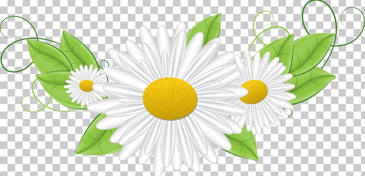 Red Easter Egg Religion Easter Bunny PNG, Clipart, Camomile, Circle, Computer Wallpaper, Culture, Daisy Free PNG Download