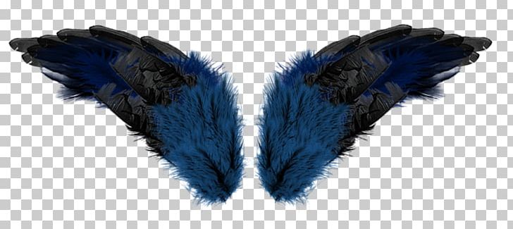 Feather Wing Aile PNG, Clipart, Aile, Angel Wing, Angel Wings, Blue, Blue Abstract Free PNG Download