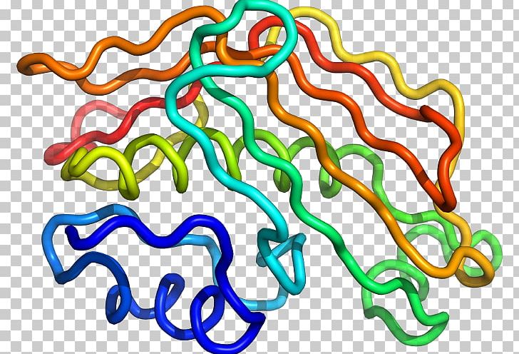 Organism Line PNG, Clipart, 2 2, 2 C 1, 2 N 1, 2 N 2, Animal Figure Free PNG Download