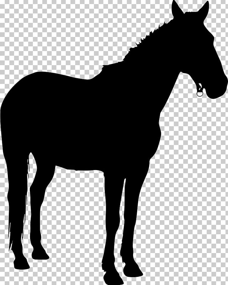 Pony Horse Silhouette PNG, Clipart, Animals, Black And White, Bridle, Colt, Foal Free PNG Download