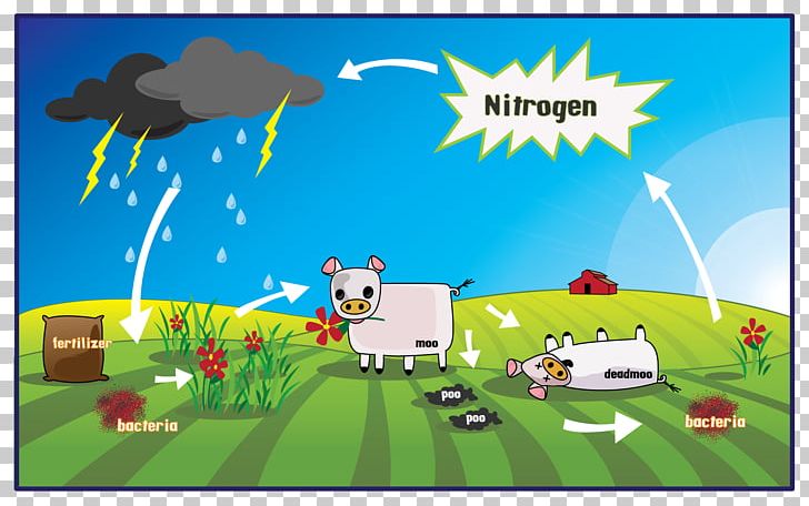 The Nitrogen Cycle Biology Nitrogen Fixation PNG, Clipart, Atmosphere, Atmosphere Of Earth, Bacteria, Biology, Biome Free PNG Download