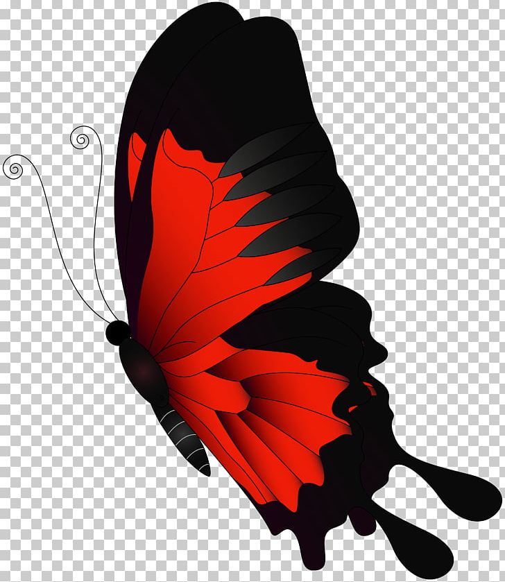 Butterfly Flight PNG, Clipart, Butterflies, Butterflies And Moths, Butterfly, Chroma Key, Clipart Free PNG Download