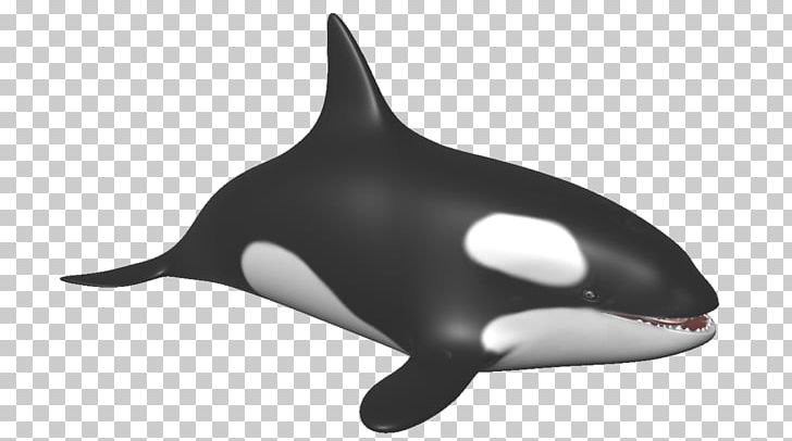 Porpoise Killer Whale Marine Mammal Dolphin PNG, Clipart, Animal, Animal Figure, Animals, Aquatic Animal, Cetacea Free PNG Download