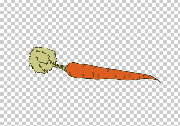 Carrot Vegetable Icon PNG, Clipart, Angle, Bunch Of Carrots, Carrot Cartoon, Carrot Creative, Carrot Juice Free PNG Download