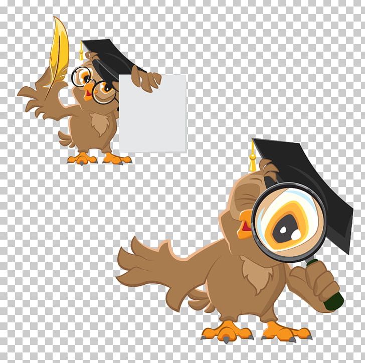 Owl Diploma Illustration PNG, Clipart, Academic Certificate, Animals, Bird, Bird Of Prey, Carnivoran Free PNG Download