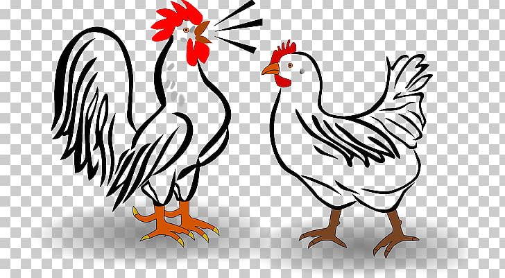 Cochin Chicken Leghorn Chicken Silkie Plymouth Rock Chicken Brahma Chicken PNG, Clipart, Animal Figure, Art, Artwork, Beak, Bird Free PNG Download