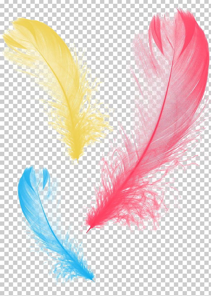Feather Graphic Design PNG, Clipart, Animals, Art, Blue, Cartoon, Color Free PNG Download
