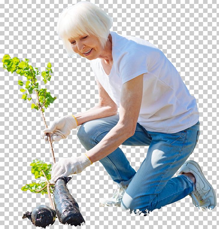 Gardening Architecture PNG, Clipart, Architectur, Architectural Rendering, Arm, Cutout, Elderly Free PNG Download