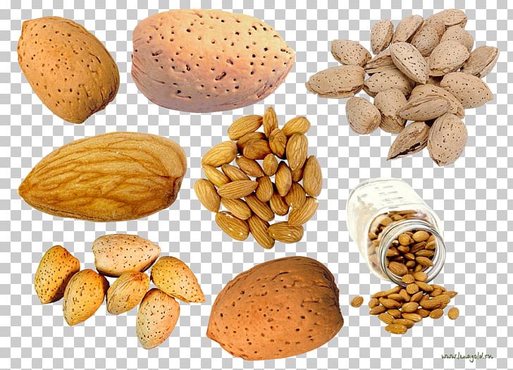 Peanut Vegetarian Cuisine Almond PNG, Clipart, Almond, Commodity, Dried Fruit, Food, Food Drinks Free PNG Download