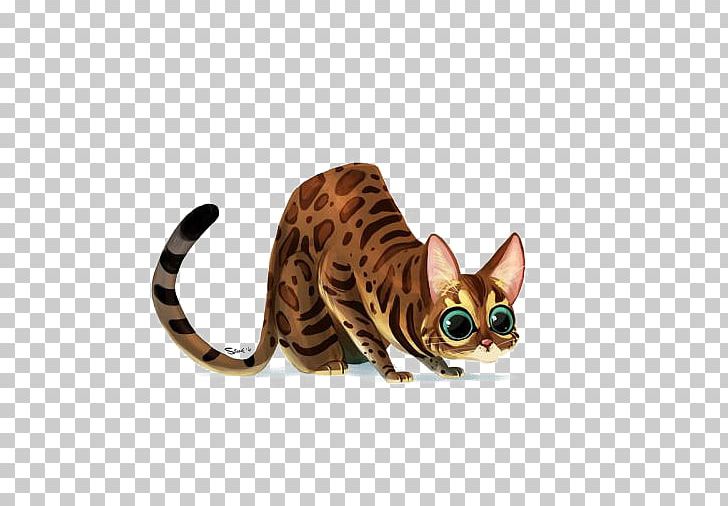 Bengal Cat Ocicat Sphynx Cat Ragdoll Kitten PNG, Clipart, Animals, Balloon Cartoon, Bengal, Black Cat, Carnivoran Free PNG Download