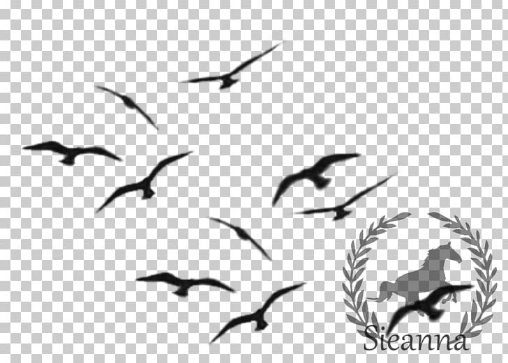 Bird Art Flight Chickadee PNG, Clipart, Animal Migration, Animals, Art, Beak, Bird Free PNG Download