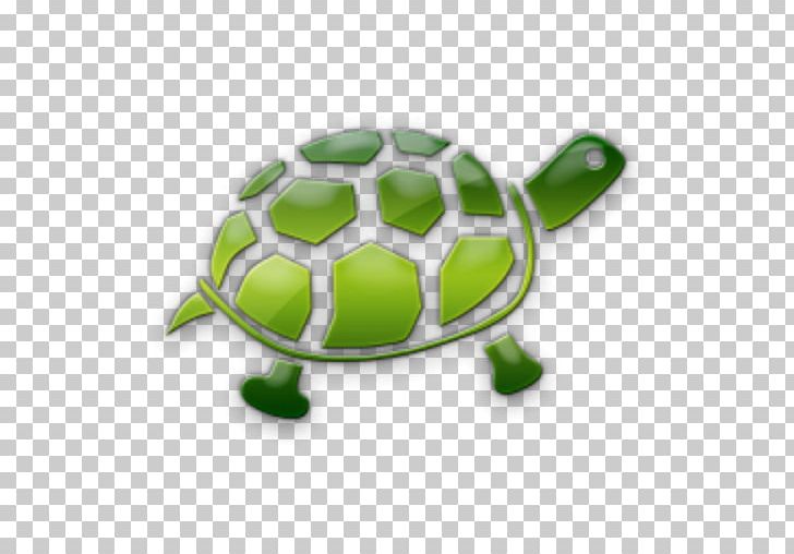 Green Sea Turtle Reptile Heron PNG, Clipart, Animal, Animals, Aquarium, Cat, Computer Icons Free PNG Download