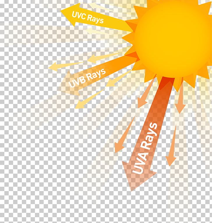 Health Effects Of Sunlight Exposure Ultraviolet Radiation PNG, Clipart, Brand, Burn, Cataract, Computer Wallpaper, Eye Free PNG Download