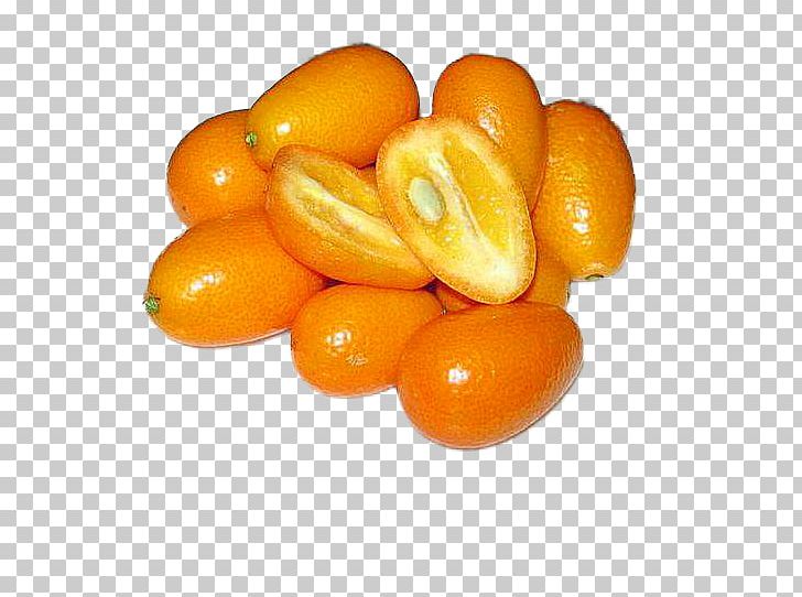 Kumquat Citrus Margarita Citrus Japonica Mandarin Orange PNG, Clipart, Auglis, Bitter Orange, Citrus, Citrus Japonica, Citrus Margarita Free PNG Download