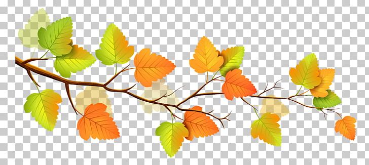 Autumn Branch PNG, Clipart, Autumn, Autumn Leaf Color, Branch, Download, Encapsulated Postscript Free PNG Download