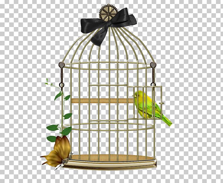 Birdcage Birdcage Lovebird PNG, Clipart, Animals, Bird, Birdcage, Bird Of Prey, Cage Free PNG Download