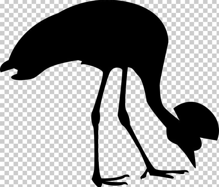 Grey Crowned Crane Bird Heron Silhouette PNG, Clipart, Artwork, Beak, Bird, Black And White, Black Crowned Crane Free PNG Download