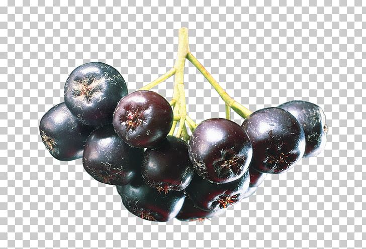 Juice Aronia Melanocarpa Mountain-ash Berry Fruit PNG, Clipart, Aronia Melanocarpa, Auglis, Berry, Bilberry, Chokeberry Free PNG Download