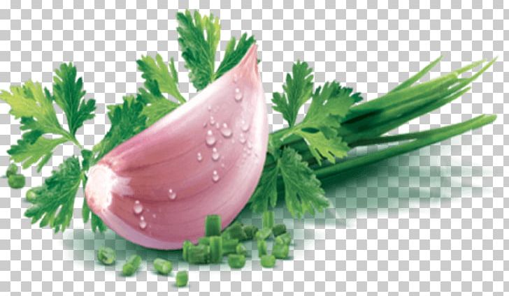 Parsley Steak Tartare Chives Fines Herbes Garlic PNG, Clipart, Chives, Family, Fine Herbs, Fines Herbes, Food Free PNG Download